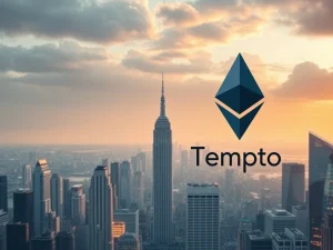 Dankrad Feist's Pivotal Move: Ethereum Foundation Veteran Joins Stripe Tempo