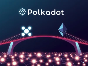 Phala Network Makes Strategic Leap: Fully Migrating from Polkadot to Ethereum L2
