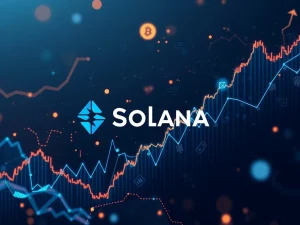Solana's Explosive Ascent: Bitwise CIO Reveals Two-Pronged Winning Strategy