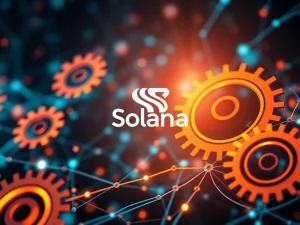 Solana Founder Unveils Revolutionary Percolator Perpetual DEX