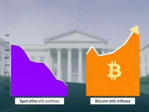 Spot Ether ETFs Face **Challenging** Outflows Amid Shifting **Institutional Confidence**