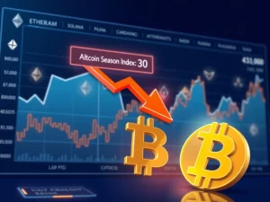 Analysis of the Altcoin Season Index falling to 30 and its meaning for cryptocurrency market cycles.