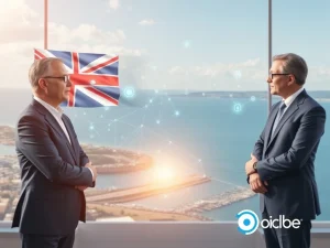 Bermuda government partners with Coinbase and Circle to build on-chain economy infrastructure