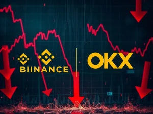 Analysis of Binance crypto crash allegations by OKX founder Star Xu and market impact
