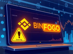 Binance exchange listing FOGO token with Seed Tag warning for cryptocurrency investors