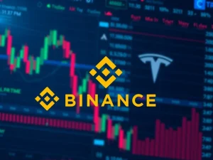 Binance lists TSLA/USDT perpetual futures for cryptocurrency derivatives trading