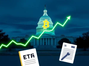 Bitcoin price rally and ETF inflows surge amid US regulatory delays for crypto market structure.