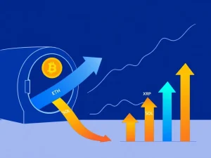 Analysis of Bitcoin and Ethereum ETF outflows driving capital rotation into altcoins like XRP and Solana.
