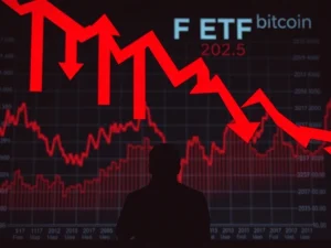 Bitcoin ETF outflows causing market uncertainty and investor concern in 2025 cryptocurrency landscape