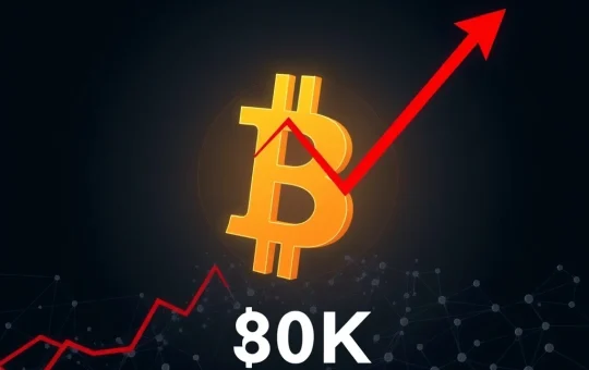 Bitcoin price analysis showing investor losses and volatility risk below $80,000