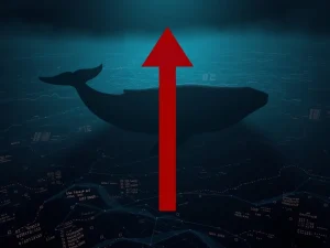 A Bitcoin whale transferring 2,000 BTC to Binance faces a multi-million dollar loss.
