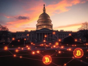 US Capitol with blockchain network representing the Blockchain Regulatory Certainty Act protecting crypto developers