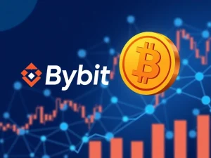 Bybit exchange listing IMU cryptocurrency for spot trading in 2025