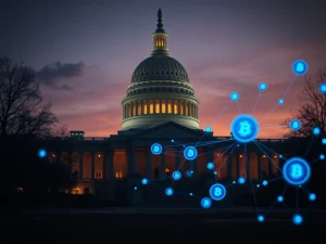 CLARITY Bill faces cryptocurrency industry opposition at US Capitol with blockchain overlay