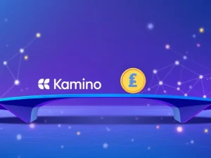 Kamino Finance integrates the USD1 stablecoin for collateral on the Solana blockchain network.