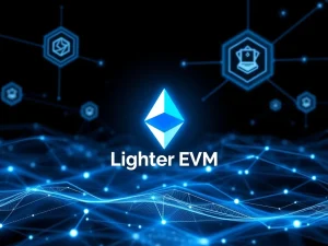 Lighter EVM rollup launching to support Ethereum Virtual Machine and smart contract deployment