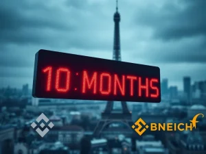 Countdown to the MiCA license deadline for Binance and crypto firms in Europe