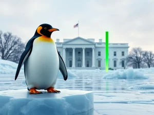 PENGUIN memecoin price surge analysis following White House social media activity.