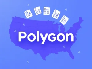 Polygon blockchain network transforming into a regulated US payment platform for secure crypto transactions