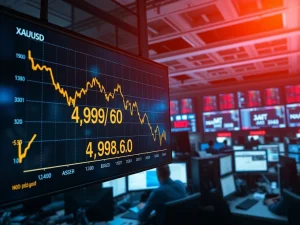 Analysis of the spot gold price falling below $5,000 per ounce in volatile trading.