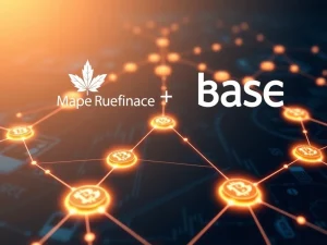 Maple Finance syrupUSDC integration with Base network and Aave V3 for institutional DeFi lending