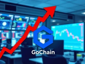 Analysis of Upbit exchange's decision to delist the GoChain GO cryptocurrency token.