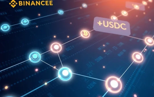 Analysis of major USDC cryptocurrency transfer to Binance exchange showing blockchain transaction patterns