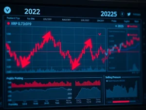 XRP on-chain metrics analysis showing bear market patterns similar to 2022 with price stagnation indicators