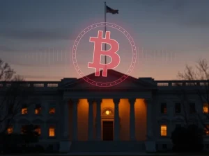 US Treasury Secretary warns against Bitcoin bailout during cryptocurrency market declines