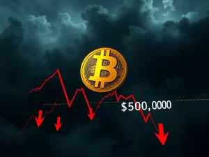 Bitcoin price breakdown analysis showing critical support levels breaking toward $50,000 target