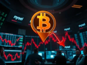 Bitcoin price collapse analysis showing key support levels and market liquidation data