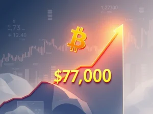 Bitcoin price surges past the $77,000 milestone in a significant market rally.