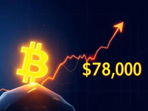 Bitcoin price breaks above the $78,000 level in a major market rally.