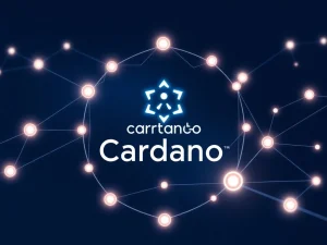 Visual representation of the Cardano Rosetta Java v2.0.0 infrastructure upgrade improving blockchain connectivity.