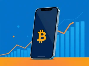 Cash App eliminates Bitcoin fees for large and recurring purchases to boost crypto stacking accessibility