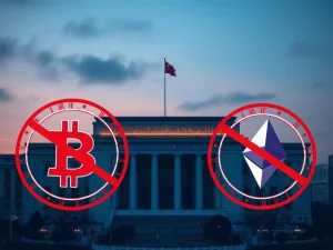 China's central bank enforces cryptocurrency ban against Bitcoin and stablecoin issuers