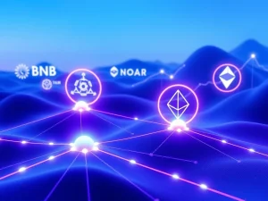 Blockchain networks showing cryptocurrency investment potential through user growth metrics