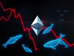 Analysis of Ethereum's price drop to $2,300 and subsequent whale buying after major liquidations.