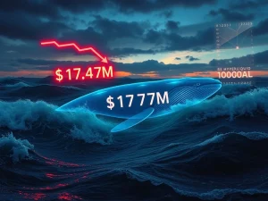 Hyperliquid HYPE whale defends against a $17 million liquidation during market volatility.