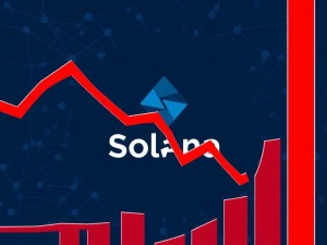 Analysis of Jito's dramatic $2.77B total value locked decline on the Solana blockchain.