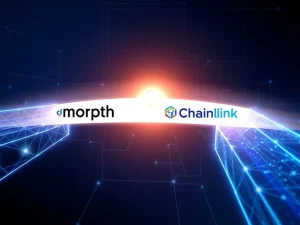 Morph integrates Chainlink CCIP for Bitget Token cross-chain interoperability and institutional payments
