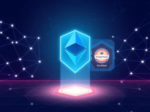 Payy's new privacy-focused Ethereum L2 network securing cryptocurrency transactions for institutions and users.