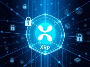 Ripple's XRP Ledger institutional DeFi roadmap with lending and privacy features for regulated finance