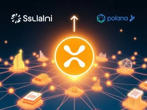 XRP Ledger surpasses Solana and Polygon in real-world asset tokenization growth with $1.5 billion in assets