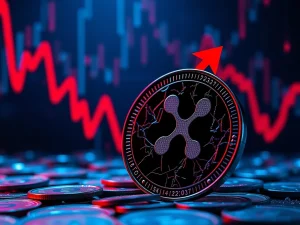 Analysis of XRP price crash showing market decline factors and cryptocurrency volatility in February 2026