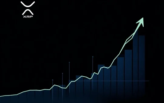 XRP price analysis showing rebound and key market bottom indicators for cryptocurrency investors