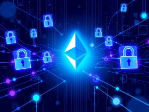 ZAMA token launch on Ethereum demonstrating encrypted auction technology for private blockchain transactions