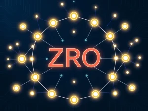 ZRO token as the exclusive utility asset for the Zero network's staking and transaction fees.