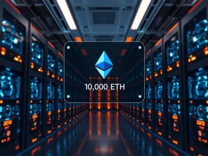CryptoNewsInsights Foundation 10,000 ETH transfer visualized in a modern data center mining facility.