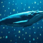 Morpho Whale Accumulation Rises While Price Stays Flat — What On-Chain Data Shows